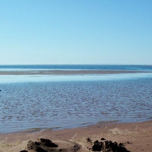 Lago Pellegrini